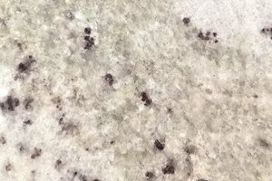 A light ivory granite with soft gray movement and fine black speckling.