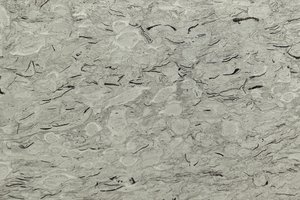 A light beige marble with fossil fragments and fine gray markings.