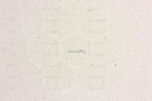 A light beige limestone with fine speckling and subtle fossil markings.