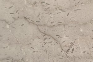 A beige marble with soft tonal variation and scattered fossil-like markings.