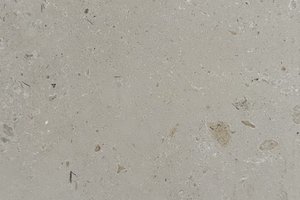 A beige limestone with scattered shell fragments.