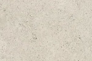 A limestone displaying a range of gray to cream hues