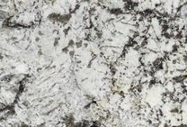 Delicatus White