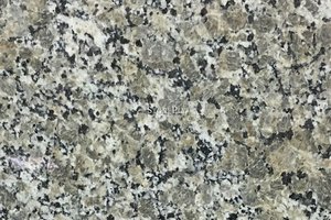 A creme and gold granite with black veining.