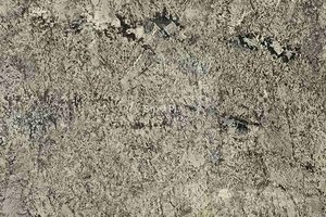 A beige granite with a grained texture.