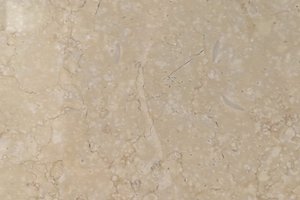 A warm beige marble with subtle fossil fragments and soft tonal variation.