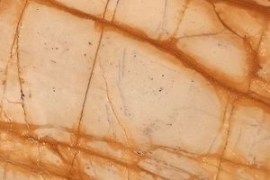 A cream marble with bold golden veining and branching, web-like movement.
