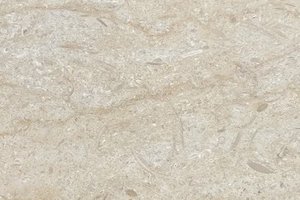 A light beige marble with soft banding and subtle fossil markings.