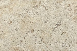 A warm golden limestone with fine fossil patterning and soft tonal variation.
