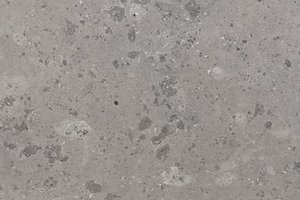 A warm gray limestone with fine fossil patterning and soft, scattered movement.