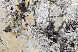 A gold and cream granite with bold charcoal veining and black mineral clusters.