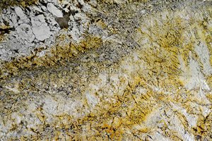 A goldish-yellow granite with cream fragments and brown veins.
