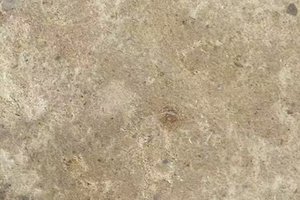 A warm beige limestone with subtle tonal variation and visible fossil inclusions.