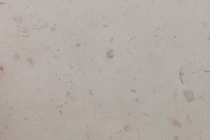 An ivory-toned limestone with subtle fossil patterning.