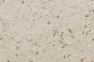 A soft ivory-toned limestone with fine, subtle fossil detail.