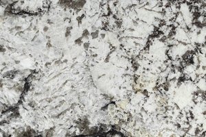 A white granite with bold black branching patterns and scattered crystalline fragments.