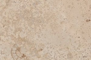 A light beige limestone with fine-grained texture and scattered fossil inclusions.