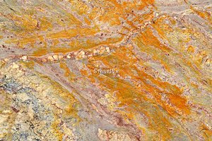 A beige and gold granite with golden veins.