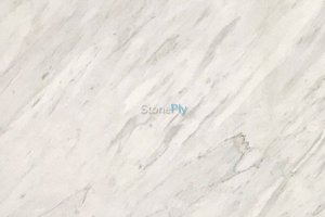 A white and gray marble.
