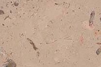 A beige limestone with a fine texture.