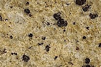 A granite that is a creamy gold color and has a coarse texture.