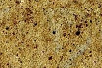 A gold granite with dark brown garnets.