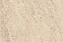 A cream-beige limestone with shell fragments.