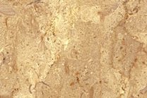 A beige and gold marble with small fossil fragments.