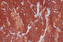 A red marble with white veins.