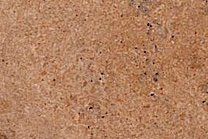 A brown-beige travertine that can feature veins.