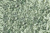 A light green granite with black and beige colored intrusions.